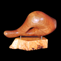 BLACK WALNUT SHELL