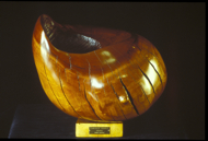 Cradle Shell