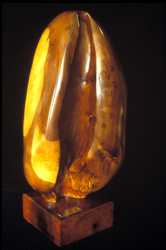 OVULA