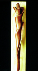 tulip shell